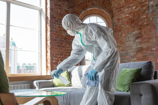 Why You Should Choose Our Mold Remediation Services in Covington, WA